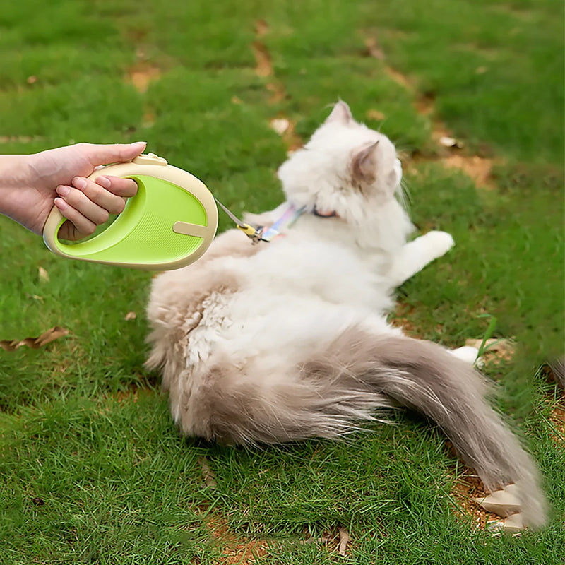 Coleira para animais de estimação de 3m