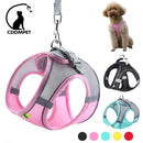 Conjunto de Coleira Ajustável para Cães Pequenos e Gatos | Ideal para Buldogue Francês, Chihuahua, Pug | Passeios ao Ar Livre